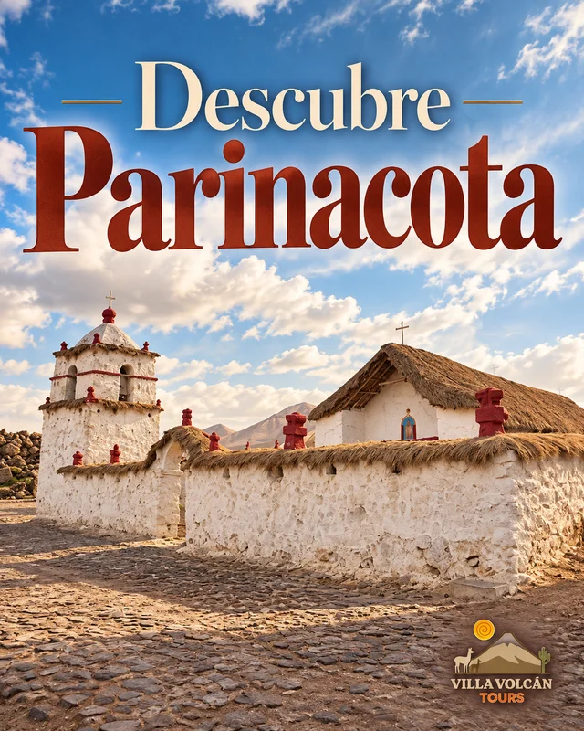 Descubre Parinacota
